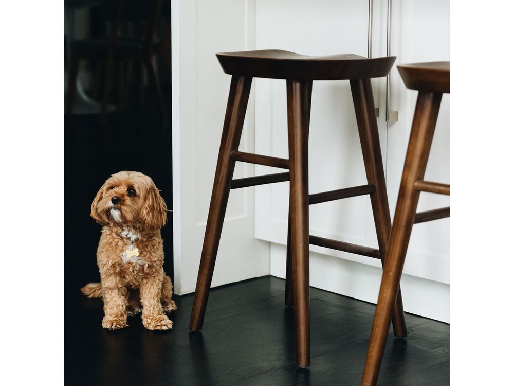 Tokyo Barstool - Deep Oak-Global Living