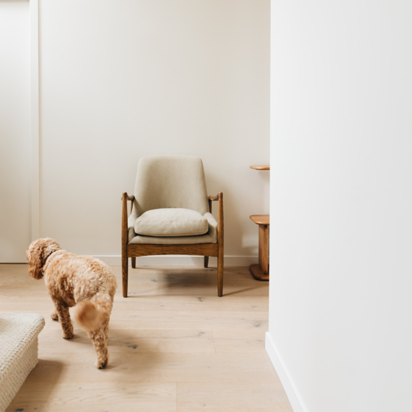Steiner Armchair Canvas